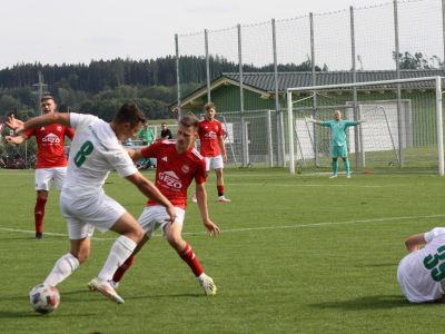 TVG - TSV Vilsbiburg